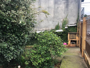 imagem 3 - Casa Aconchegante com 2 Dormitórios e 2 Vagas no Itaim Paulista imagem 3 - Casa Aconchegante com 2 Dormitórios e 2 Vagas no Itaim Paulista