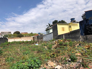 imagem 5 - Terreno Comercial com 750 m² em Avenida de Grande Fluxo no Itaim Paulista imagem 5 - Terreno Comercial com 750 m² em Avenida de Grande Fluxo no Itaim Paulista