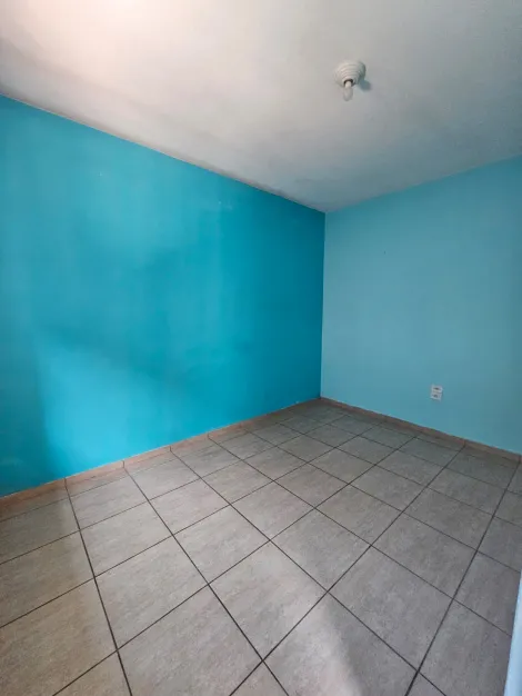 imagem 5 - Casa Aconchegante com 2 Dormitórios e Ampla Área Externa  80 m² de Conforto imagem 5 - Casa Aconchegante com 2 Dormitórios e Ampla Área Externa  80 m² de Conforto
