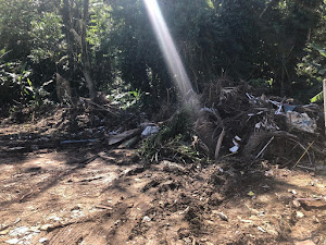 imagem 2 - Terreno com Projeto Aprovado em Boiçucanga 11.100 m² para Investir imagem 2 - Terreno com Projeto Aprovado em Boiçucanga 11.100 m² para Investir