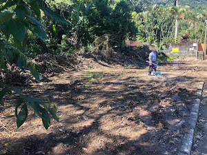 imagem 3 - Terreno com Projeto Aprovado em Boiçucanga 11.100 m² para Investir imagem 3 - Terreno com Projeto Aprovado em Boiçucanga 11.100 m² para Investir