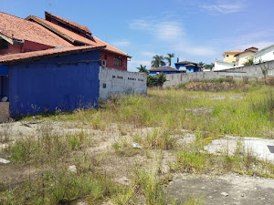 imagem 5 - Terreno Comercial com 380 m² em Avenida Movimentada Ideal para Construção Personalizada imagem 5 - Terreno Comercial com 380 m² em Avenida Movimentada Ideal para Construção Personalizada